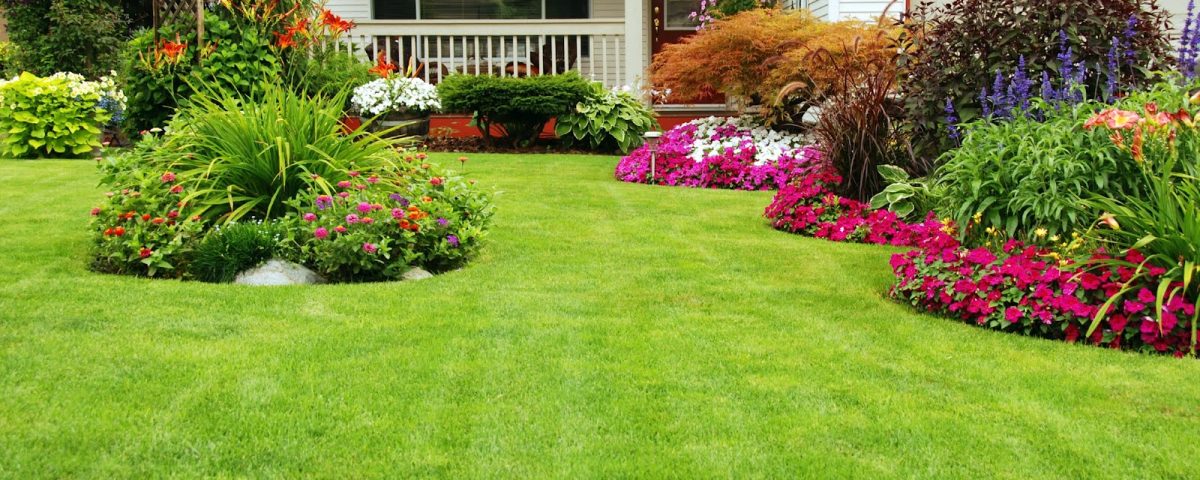 Jardin