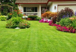 Jardin