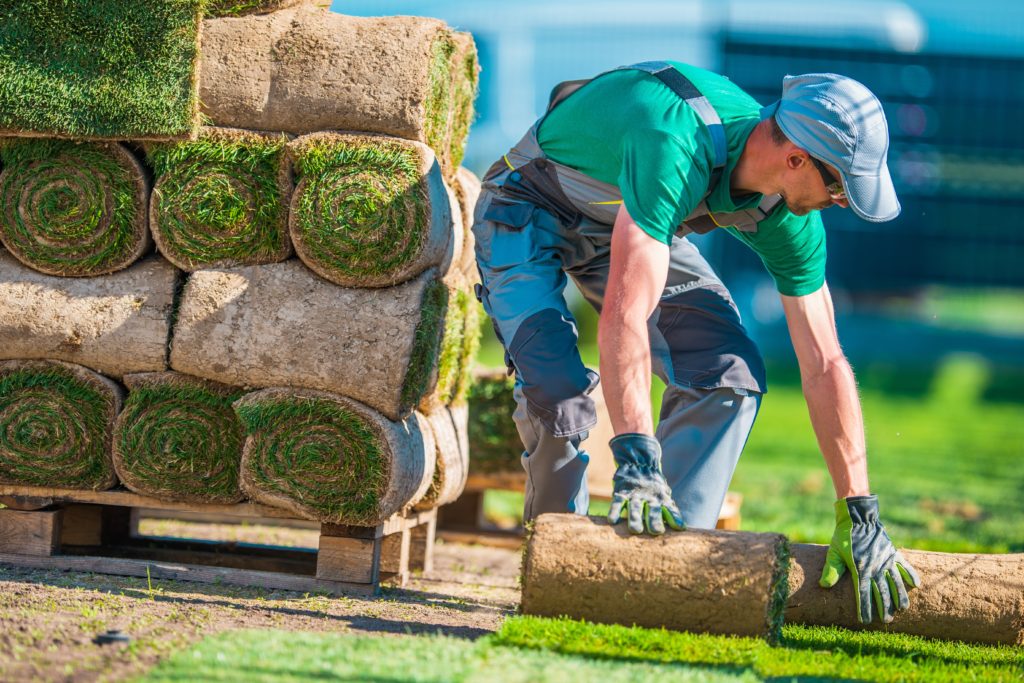 Realizzazione giardino