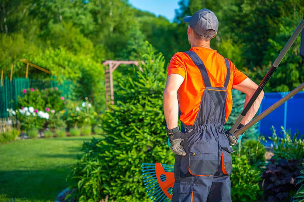 Raccolta foglie da giardino