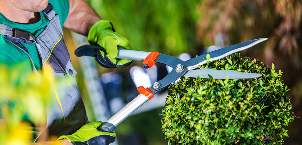 Realizzazione giardini