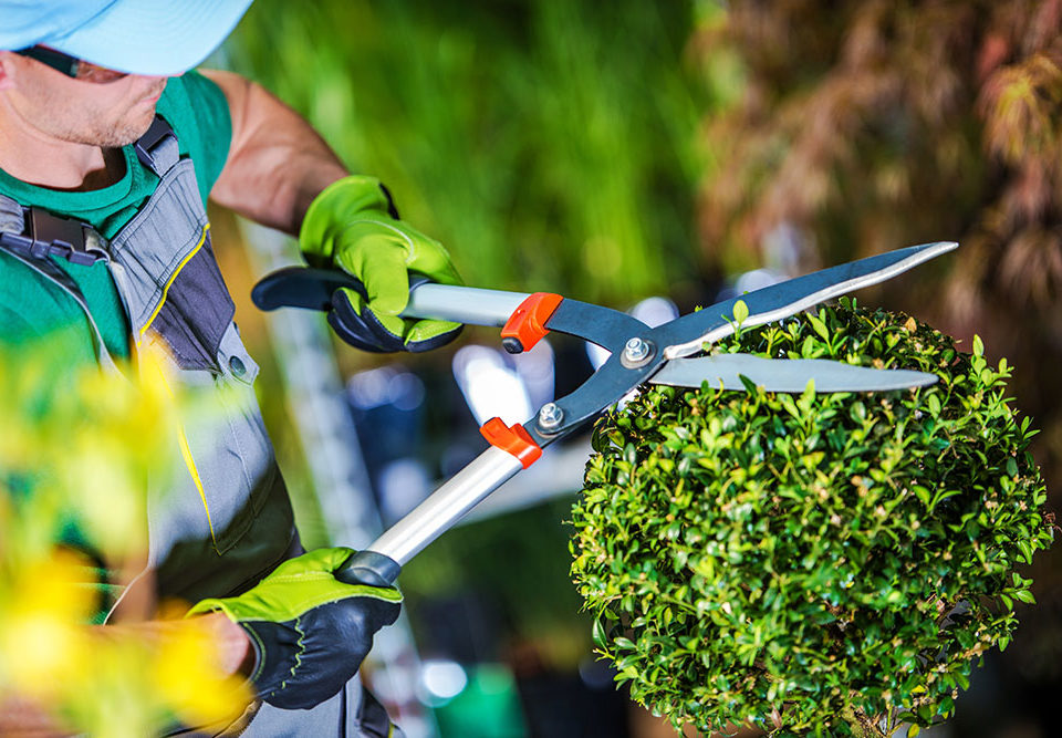 Realizzazione giardini