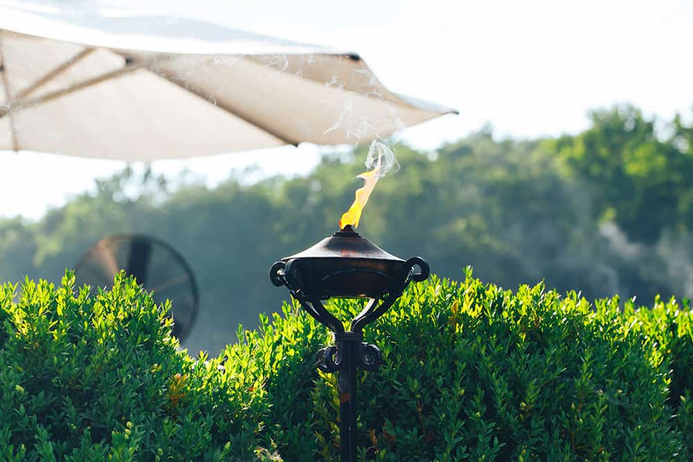 Torce e candele ricaricabili